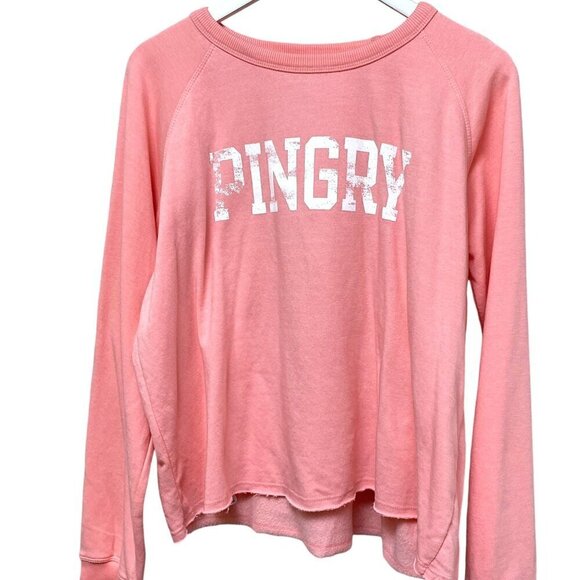 PINGRY Pullover Sweatshirt XL Pink Long Sleeve Graphic Tee Prep School Old Money - Picture 1 of 8